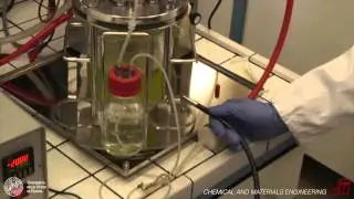 Chemical and Materials Engineering in Padova