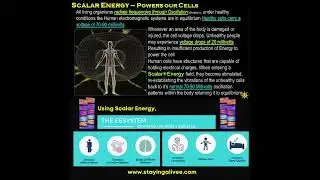 Our cells, Scalar Energy & the Energy Enhancement System