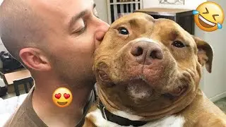 I'm 101% SURE that you will LAUGH EXTREMELY HARD- Funny Dog 2025 #68