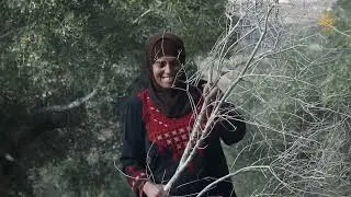 Preserving Palestinian farming heritage to protect future food
