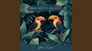 Hidden Birds of the Jungle