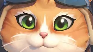 The Jetpack Cat Wants You To Click The Video