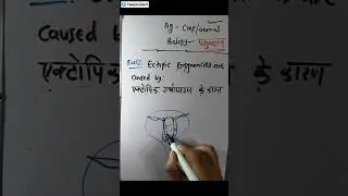 MP PAT CLASSES IN HINDI | MPPAT BEST COACHING | MPPAT ONLINE COACHING |
