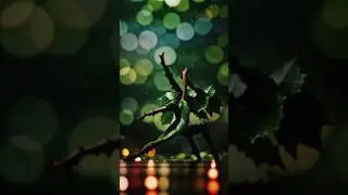 Couple leaf dancing in the rain🌧️ 🌿#shorts #ytshorts #innovativevisuals
