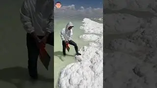 Reality of White Sand Beaches ⛱️