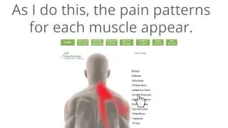 How to Use the Free Trigger Point Charts @TriggerPointCharts.com