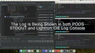 Troubleshooting K8S EKS with Lightrun Developer Observability Platform