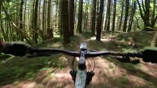 Twisted knickers trail Rocky point. Scappoose OR. 