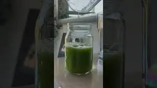 Detox Juice Benefits #detoxjuice #detoxnaturally #detoxbody #recipe  #healthtips #ytshorts #short