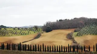 Via Romea del Chianti