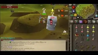 Runewild 12