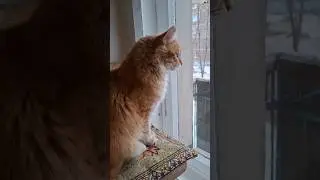 17 января 2026 г. Томас 😼 Я красивый❓️