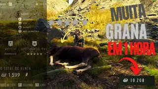Como ganhar muito dinheiro no Way of the Hunter, novo jogo de ca&ccedil;a dicas para iniciantes