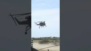#helicopter #wasp #navy #aircraft #flying #british #military #airforce