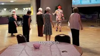 the slosh line dance with dj roy