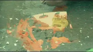 ALEX SAGE - THE SLAPAHOLICS FAMILY INTRO