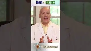 Unlocking the Health Wonders of Hemp Seeds! 🌱 #-Shorts The Nerve Doctors