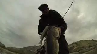 8 lb on the baitsmith