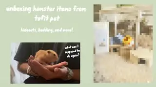 Unboxing hamster items 🌿 | Tafit pet haul | little mushroom pets 🍄