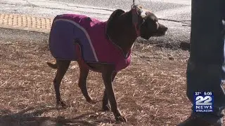 Keeping your pets safe during cold temperatures