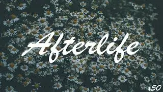 x50 - Afterlife