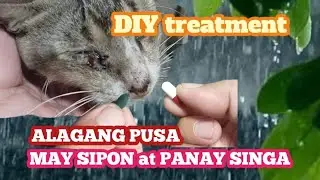 GAMOT SA PUSANG MAY SIPON LAGNAT AT UBO  #BOSSAM NANONG