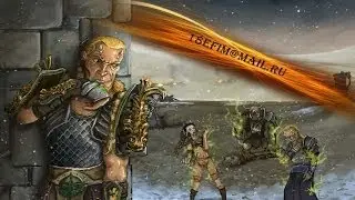 Panzar паладин 9 левел орк сараи