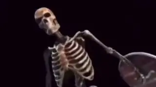 1 Hour of Silence Interrupted By Skeleton Banging Shield