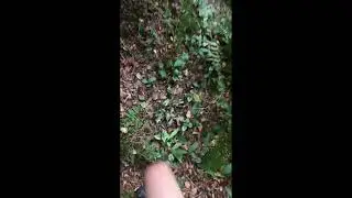 Verlaten caravan Lettele 25 Augustus 2025 video draaiend wiel 1