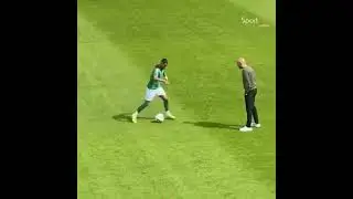 Elias Achouri, Skills