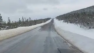 Road Trip to St  Anthony, NL