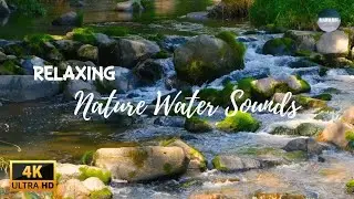Tranquil Waters || Nature Water Sounds and Relaxing Music for Serenity and Stress Relief