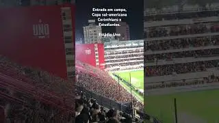 Corinthians x Estudiantes. Copa sul-americana 2023