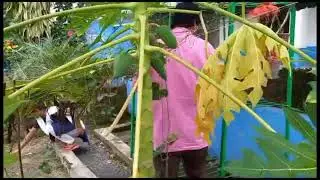Maintenance and seeding of Kitchen garden by the Child Cabinet of the school with in school campus.