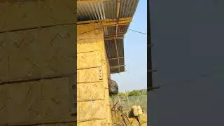 Bamboo low cost Assam type house design