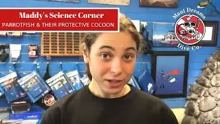 Parrotfish and their Protective Cocoon - Maddy's Science Corner