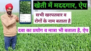 This mobile app is helpful in farming. Xarvio Scouting App is a true friend of farmers. Identify weed diseases.