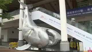 《鯊魚與人類》展覽　