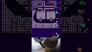 Pixel Smash 🔥 #cat #cipicipi #viralvideo #cute #funny #memes #shorts #viralshorts