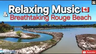 Springtime Serenity: 4K Drone Footage of Rouge Beach, Lake Ontario #relaxingmusic #naturelovers