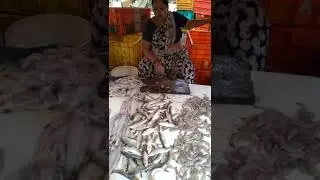 Fish Market Janta market Bhandup  | Mumbai | Fish Market in Bhandup