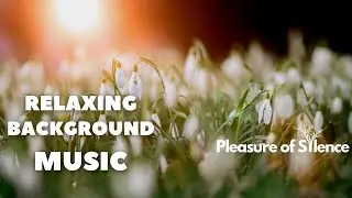 Neutral State Meditation | Relaxing Background Music | Relaxation