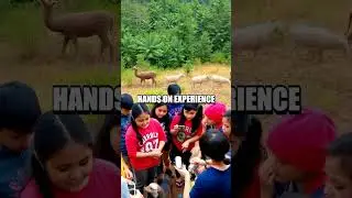 Exploring Unique Paths in Wildlife Rehabilitation