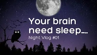 What Happens to Your Brain When You Sleep | The Science of Sleep