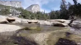 Cali Dreamer