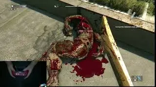 Still Living My Dream As A Parkour King Muscle Daddy Fighting Zombies!