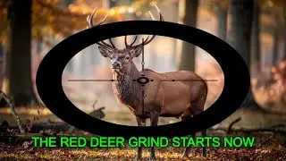 🔴The Red deer grind starts now🔴