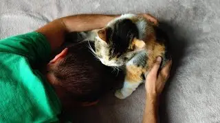 The cat licks its owner's head. She can do this for hours 🐾🐈😺