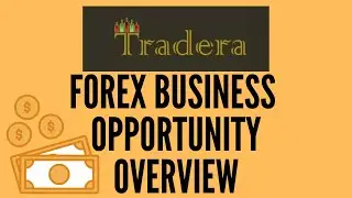 Tradera Forex Business Opportunity Overview