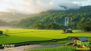 🌿Relaxing Flute Music at Bokor Mountain: Rainy Season Rice Fields of Cambodia #CambodiaZenMusic